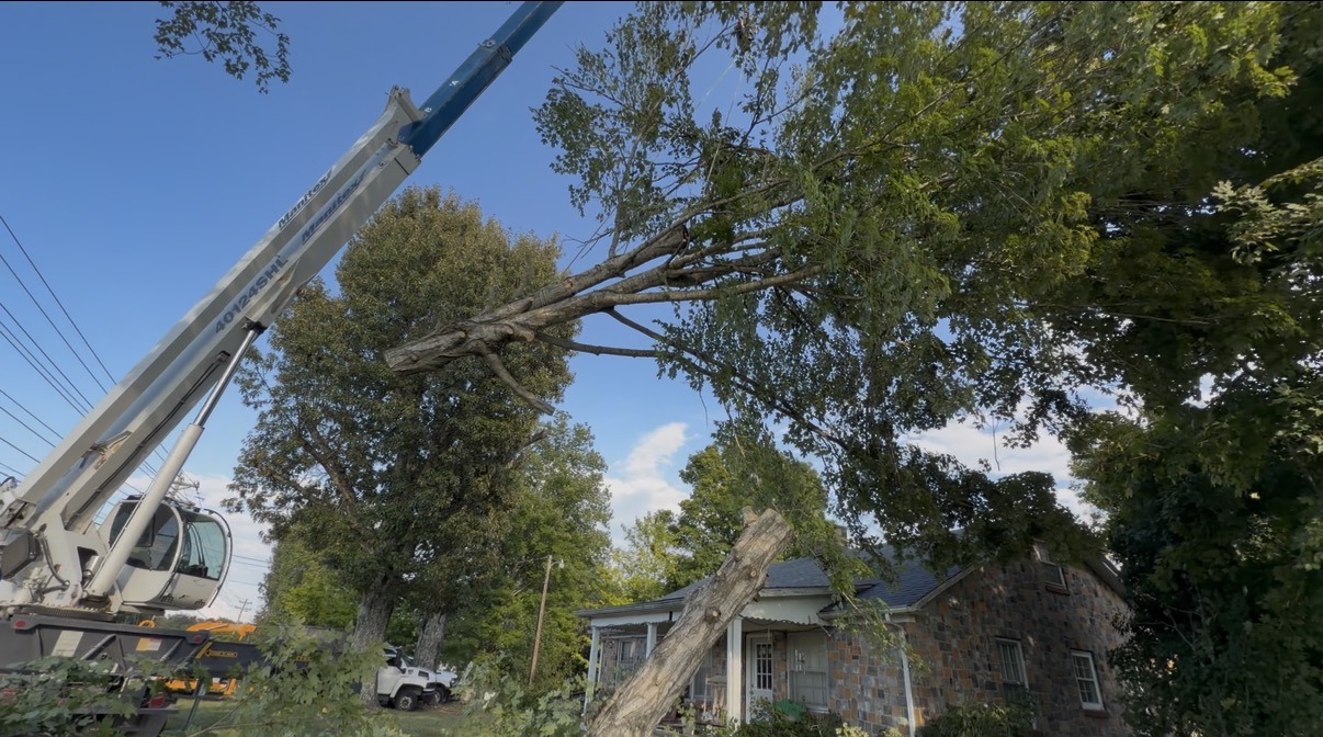 Crane lifting a tree section beside a home