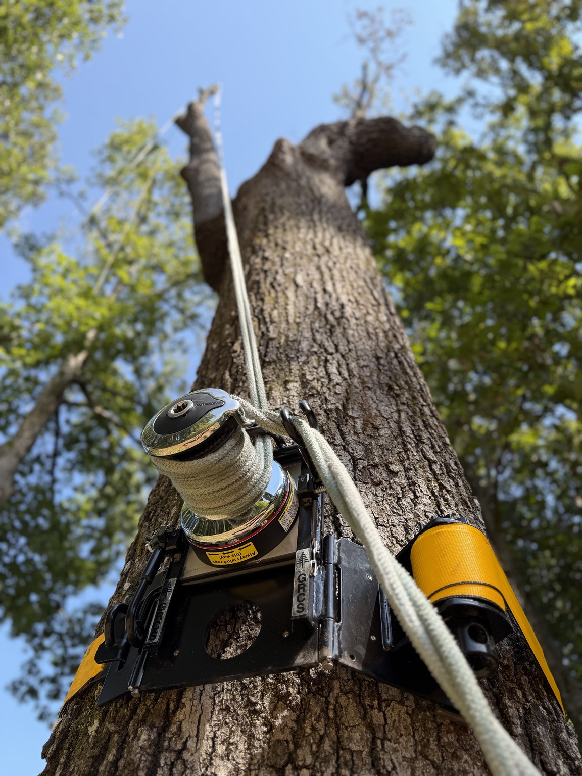 GRCS rigging winch mounted on a tree with rope extending into the canopy