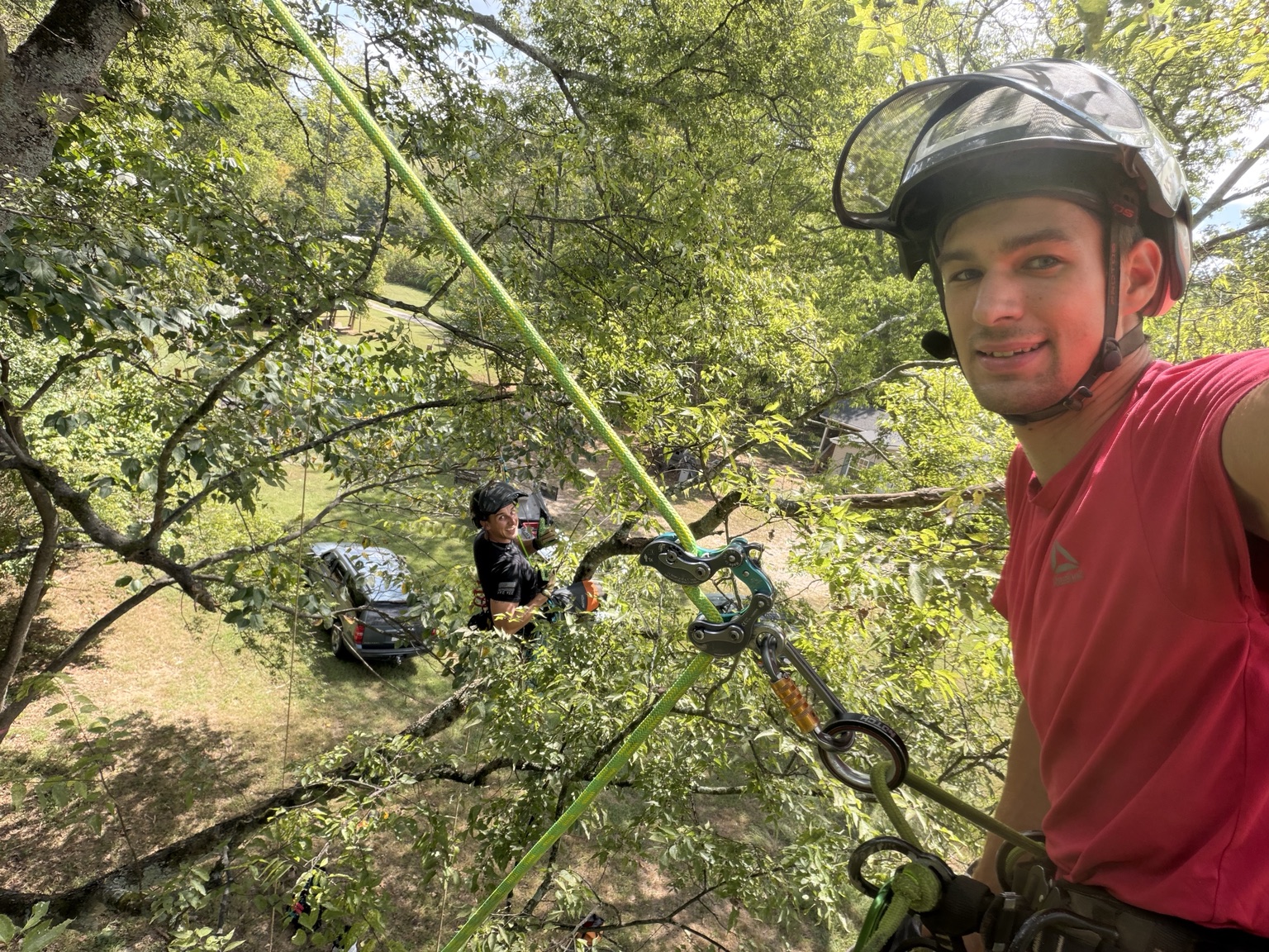 Two climbers working together in a leafy tree canopy